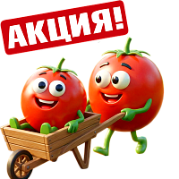 Минусинские томаты